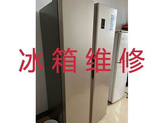 衡水专业电冰箱安装